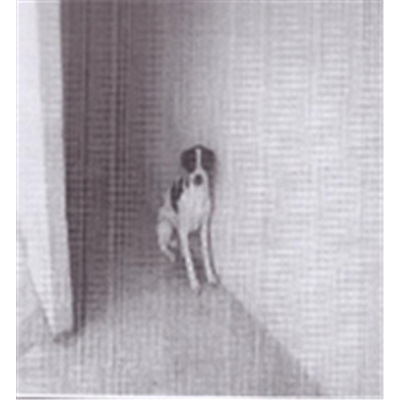 Comune di Bacoli - 380260010206394