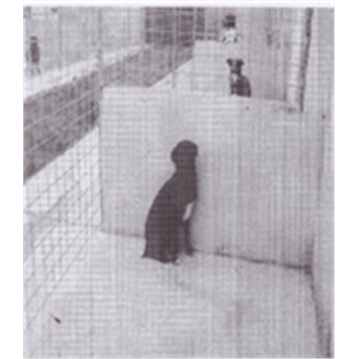 Comune di Bacoli - 380260010206408