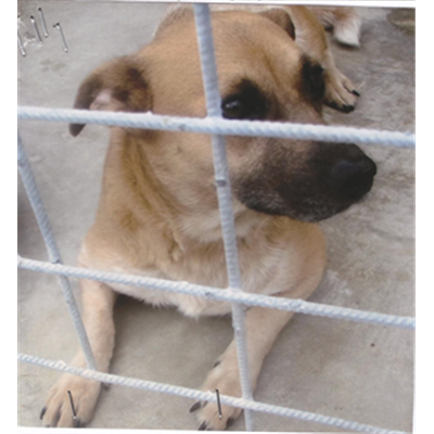 Comune di Bacoli - 380260010206370