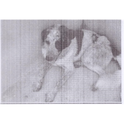 Comune di Bacoli - 380260010208789