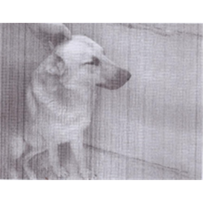 Comune di Bacoli - 380260010208809