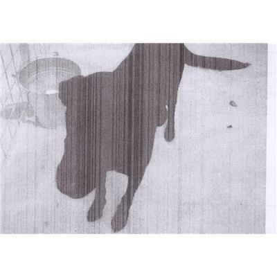 Comune di Bacoli - 380260010208983