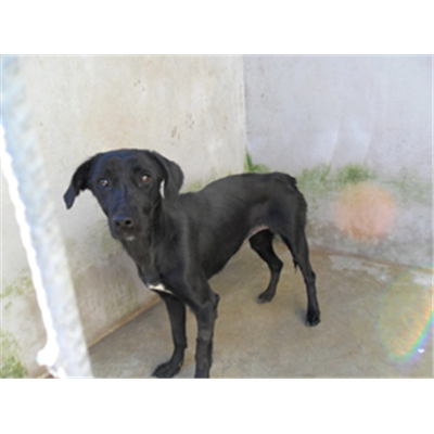 Comune di Cardito - 380260002144350