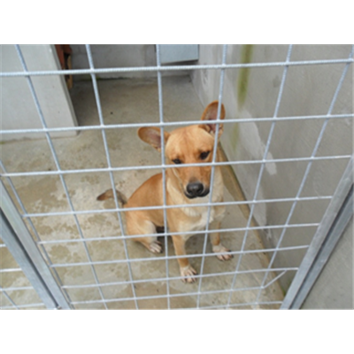 Comune di Cardito - 900062000153961