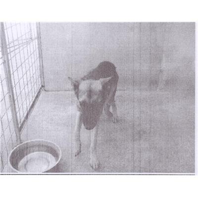 Comune di Portico di Caserta - 380260100106506