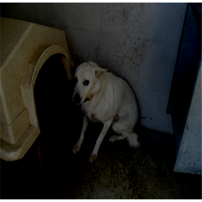 Comune di Orta di Atella - 380260100103111