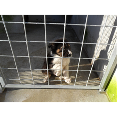 Comune di Orta di Atella - 380260100108244