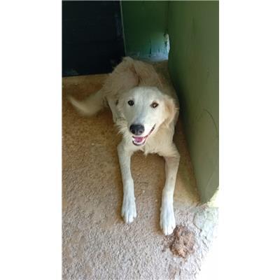 Comune di Casoria - 380260160684884