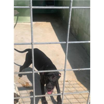 Comune di Casoria - 380260160685183